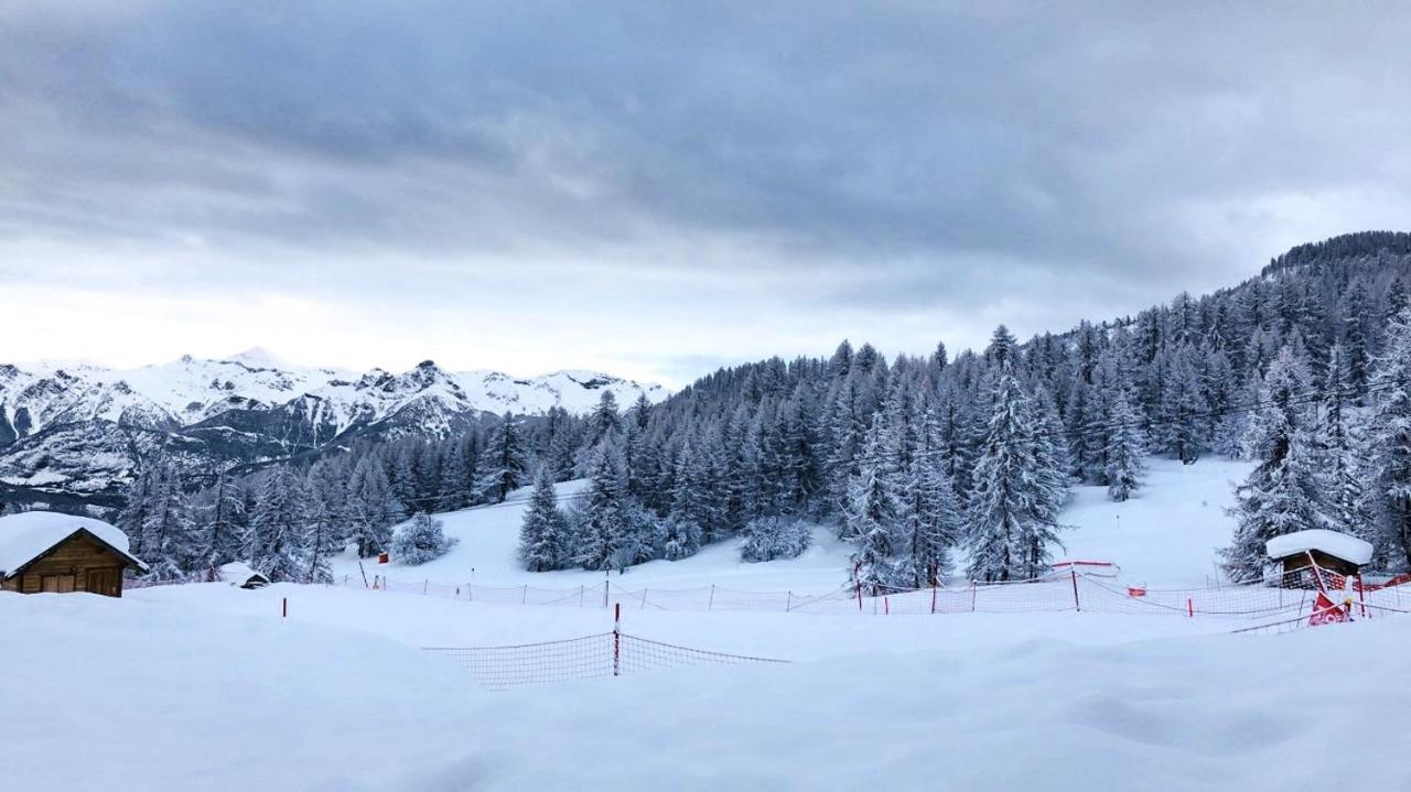 Les Chalets Du Parc Aux Etoiles - Cimes Et Neige Apartment Puy-Saint-Vincent Bagian luar foto